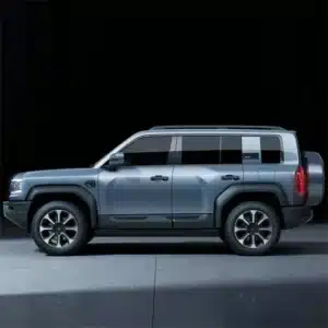 BYD Formula Leopard 5 2023