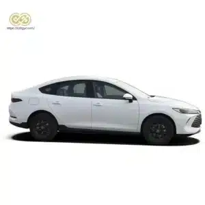 比亚迪秦 Plus DM-i / EV 2025