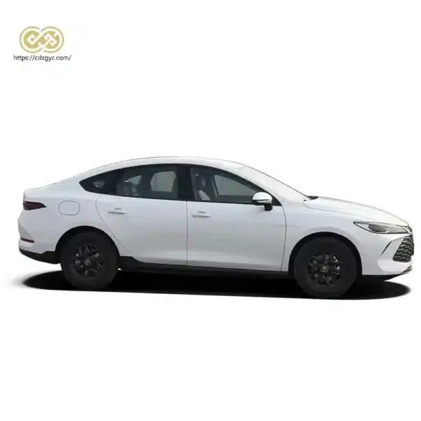 比亚迪秦 Plus DM-i / EV 2025