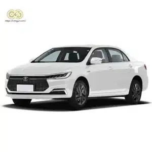 BYD Qin EV 450KM 2024
