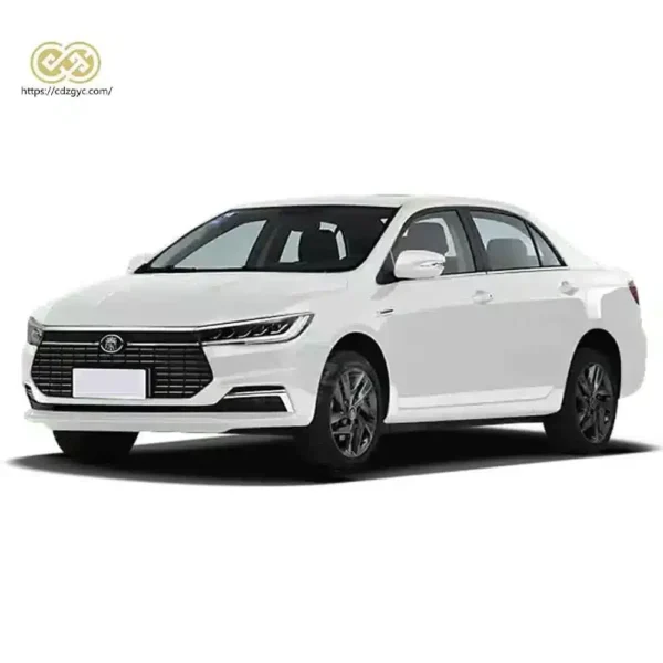 BYD Qin EV 450KM 2024