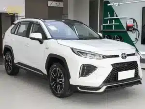 Toyota Wildlander 2024