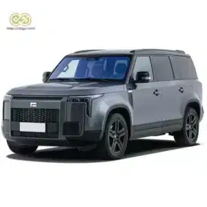 Polestones 01 REEV 2024