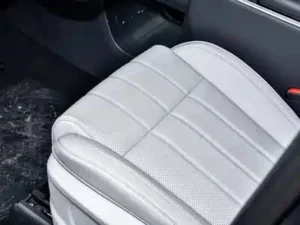 Brume Dongfeng interior