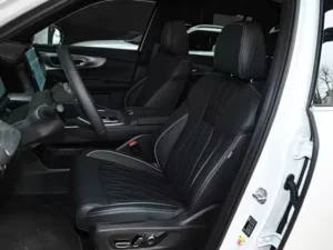 Interior Trumpchi GS8