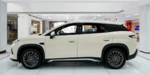 byd song
